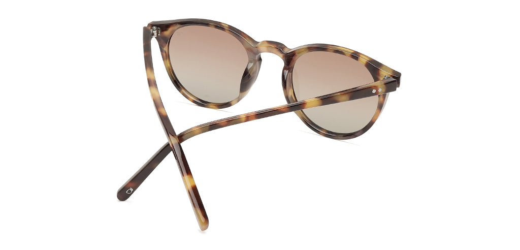 Brown_Demi_with_Brown_Lens