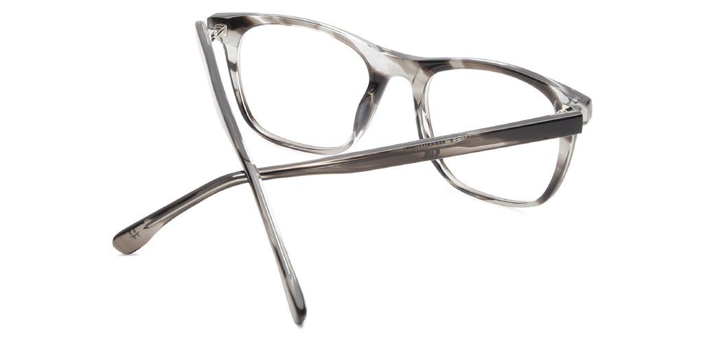 Grey_Tortoise_with_Grey