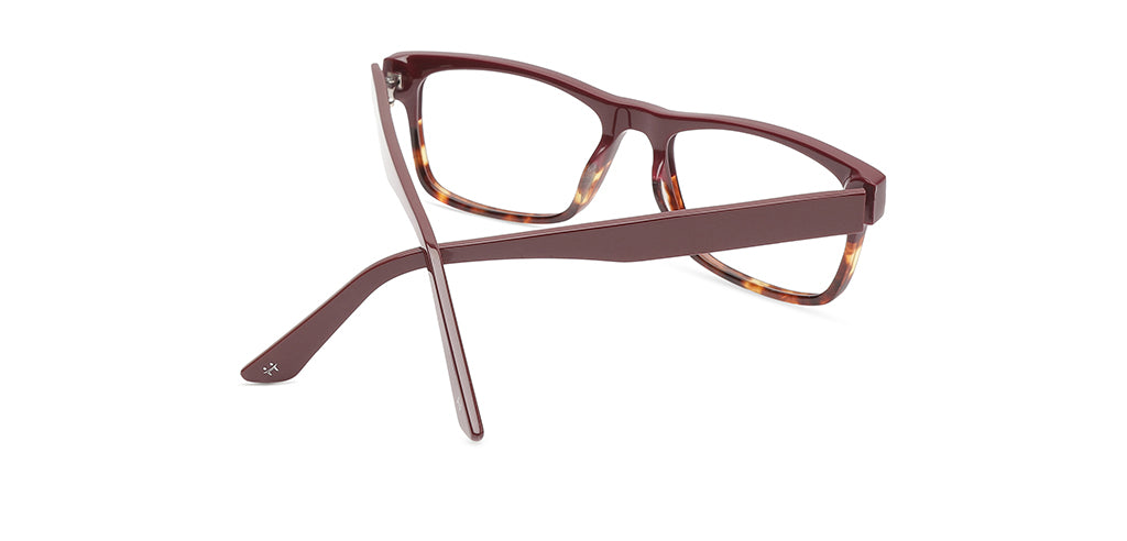 Red_Tortoise_With_Red