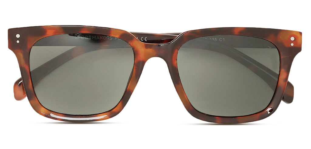 Brown_Demi_with_Grey_Lens