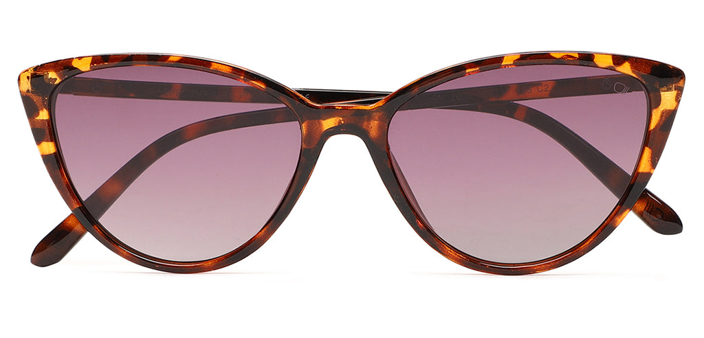 Brown_Demi_with_Grey_Lens