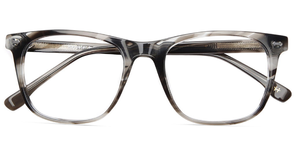 Grey_Tortoise_with_Grey