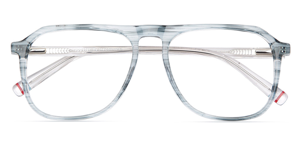 Tortoise_Blue_With_White