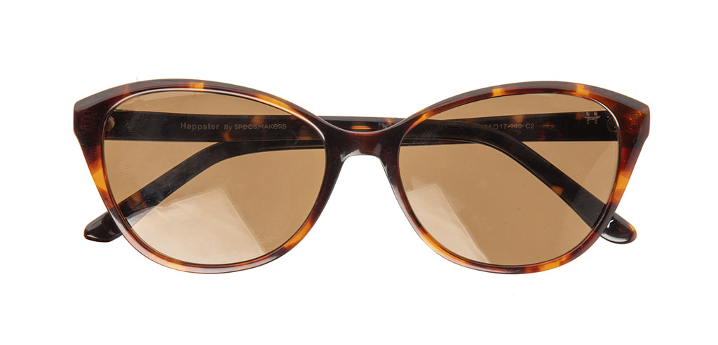 Glossy_Brown_Tortoise