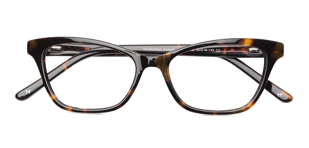 Glossy_Tortoise_Brown_Tortoise