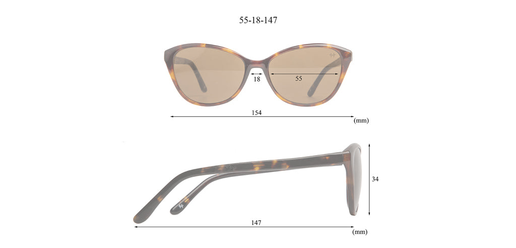 Glossy_Brown_Tortoise