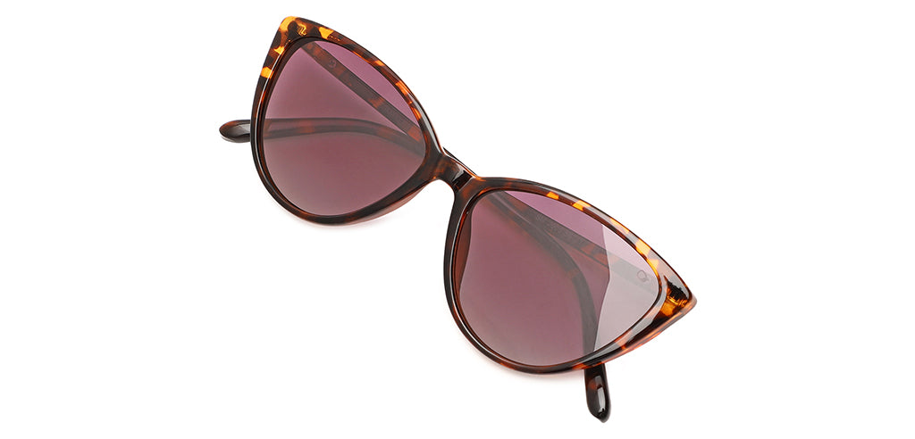 Brown_Demi_with_Grey_Lens