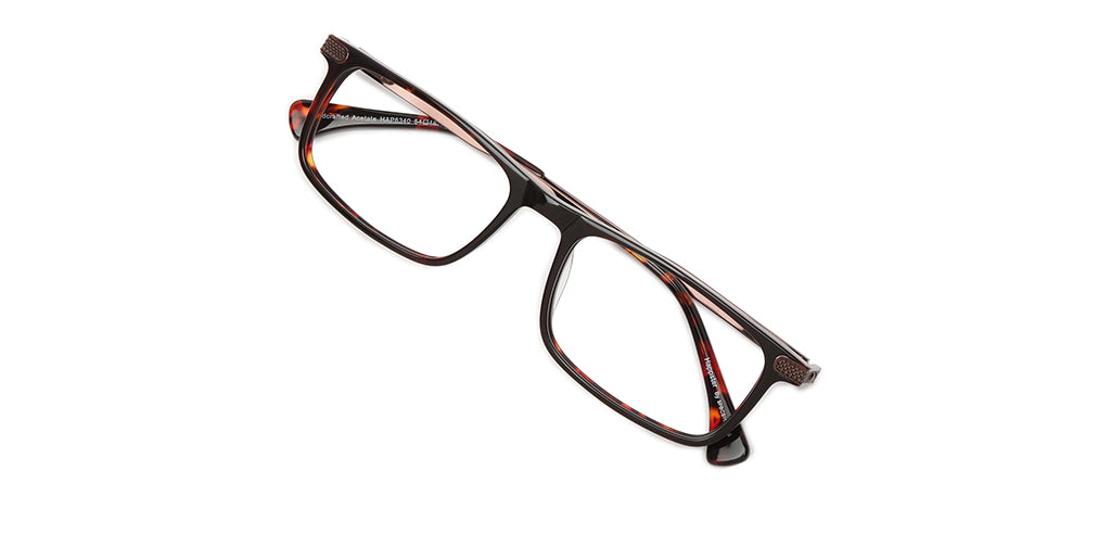 Brown_Tortoise_With_Brown