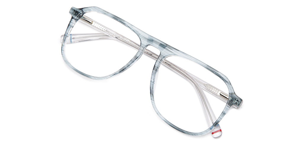 Tortoise_Blue_With_White