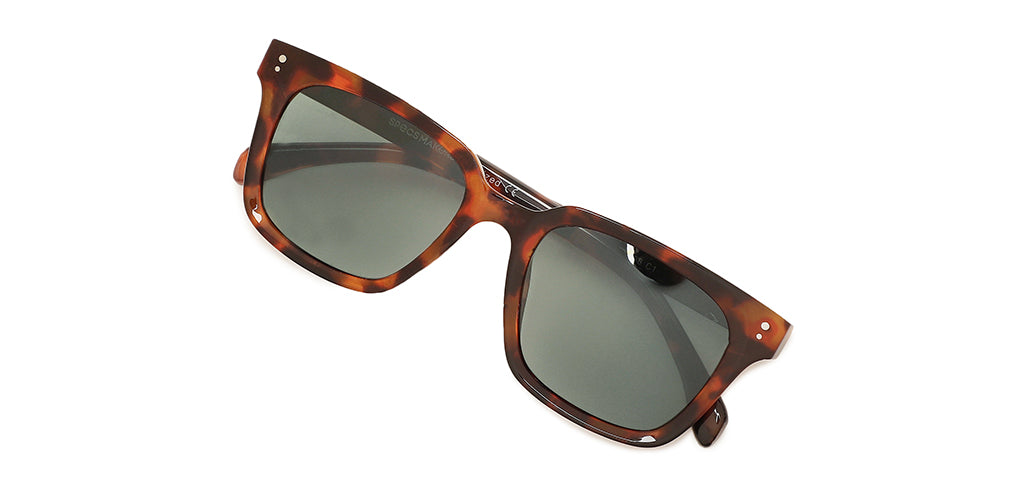 Brown_Demi_with_Grey_Lens