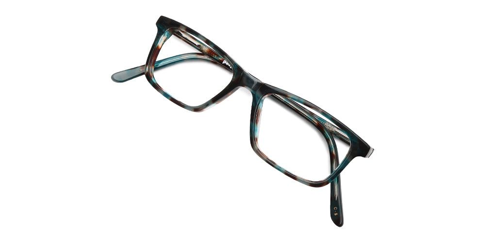 Multicolour Tortoise_With_Multicolor