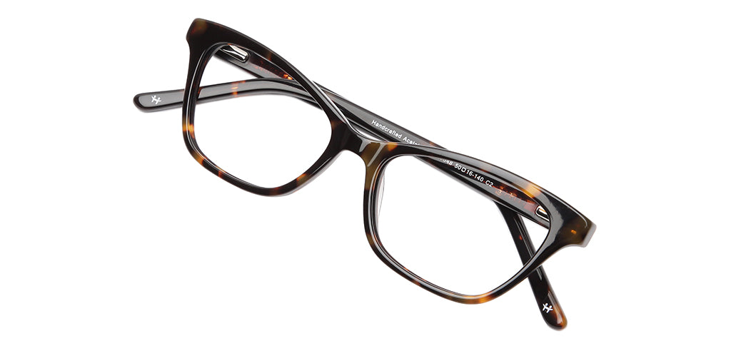 Glossy_Tortoise_Brown_Tortoise