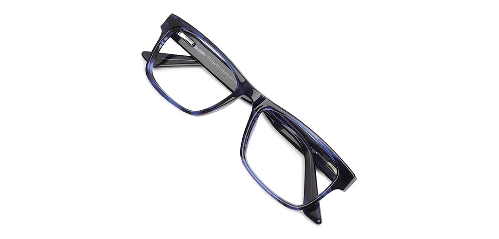 Blue_Tortoise_With_Blue