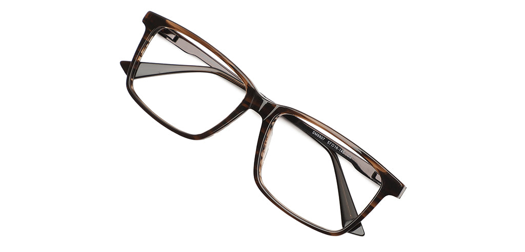 Tortoise_Brown_With_Brown