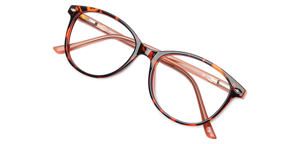 Brown_tortoise_with_Brown