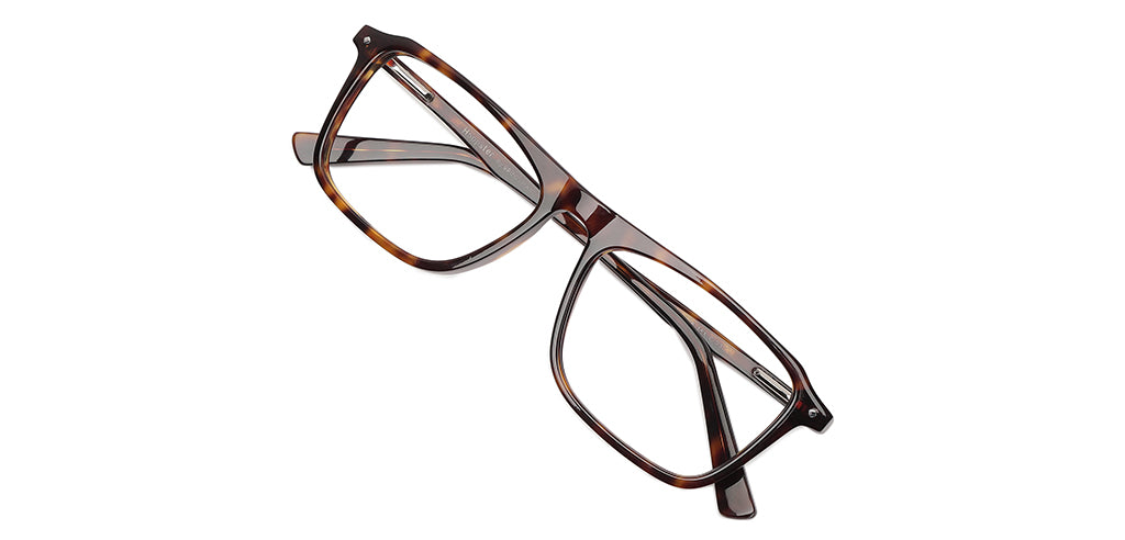 Tortoise_Brown_With_Tortoise