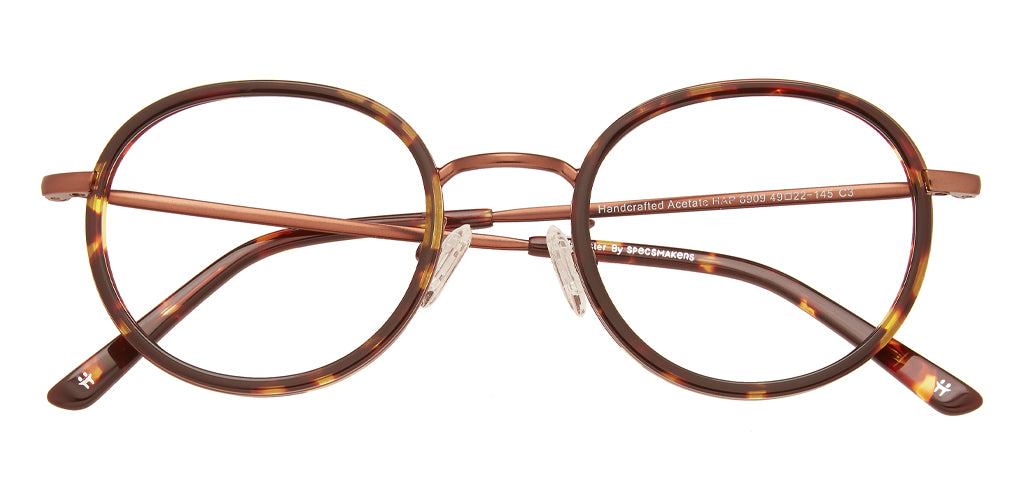 Tortoise_Brown_with_Brown