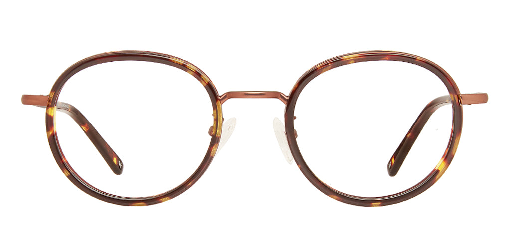 Tortoise_Brown_with_Brown