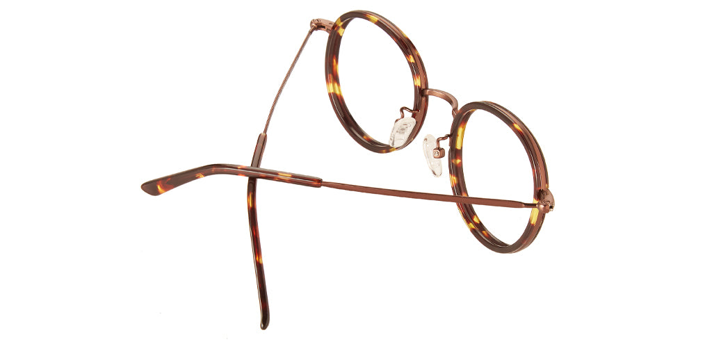 Tortoise_Brown_with_Brown