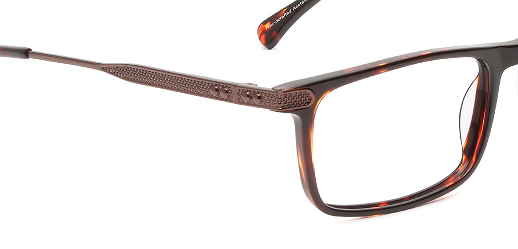 Brown_Tortoise_With_Brown