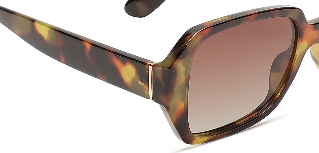 Brown_Demi_with_Brown_Lens