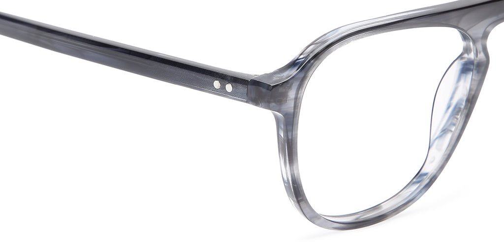 Blue_Tortoise_With_Blue