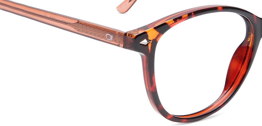 Brown_tortoise_with_Brown