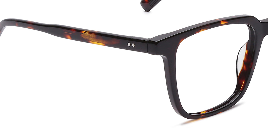 Brown_Tortoise_with_Tortoise