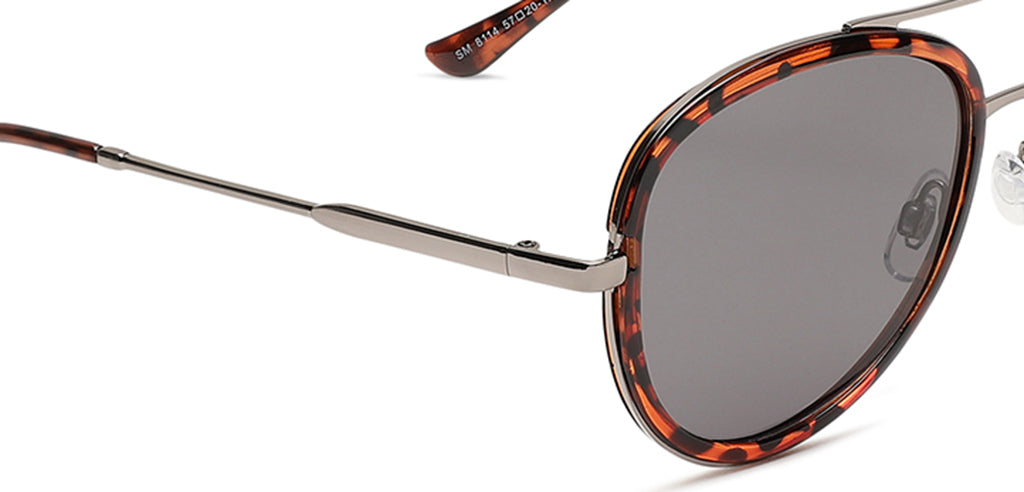 Brown_Demi_with_Grey_Lens