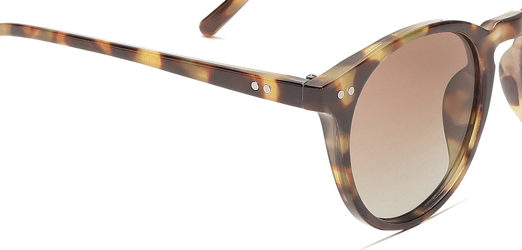 Brown_Demi_with_Brown_Lens