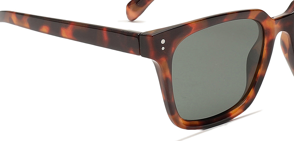 Brown_Demi_with_Grey_Lens