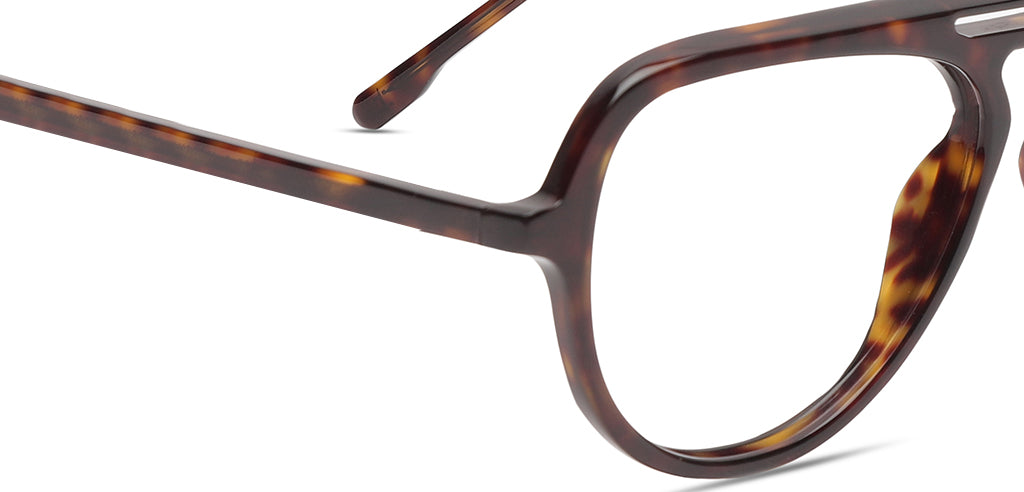 Tortoise_Brown_With_Tortoise