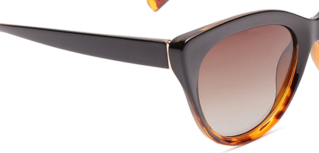 Brown_Demi_with_Brown_Lens