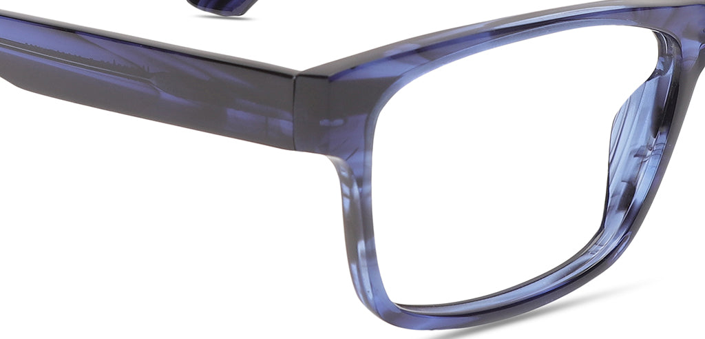 Blue_Tortoise_With_Blue