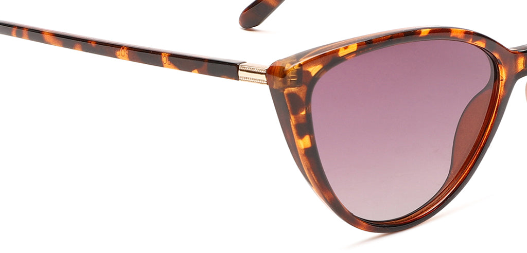 Brown_Demi_with_Grey_Lens