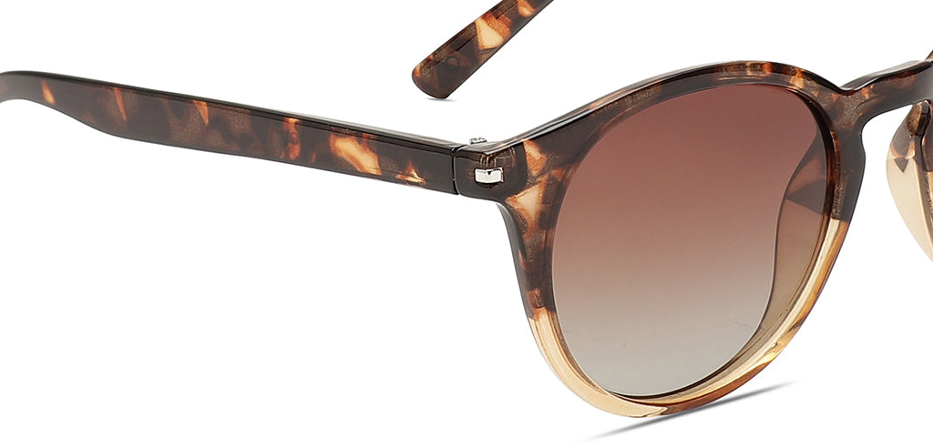 Brown_Demi_with_Brown_Lens