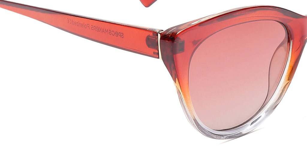 Brown_Gradal_with_Red_Lens