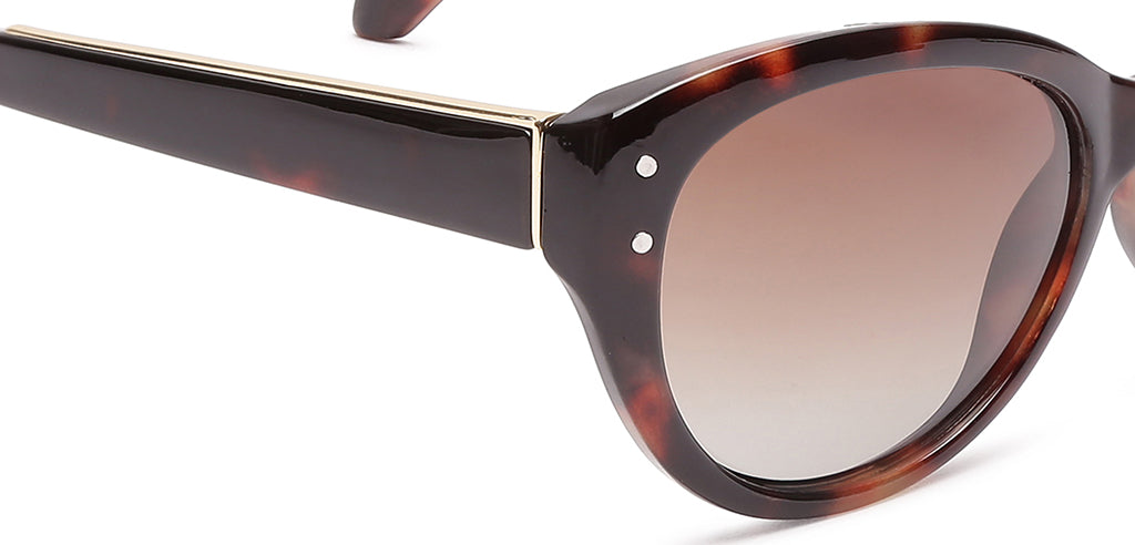 Brown_Demi_with_Brown_Lens