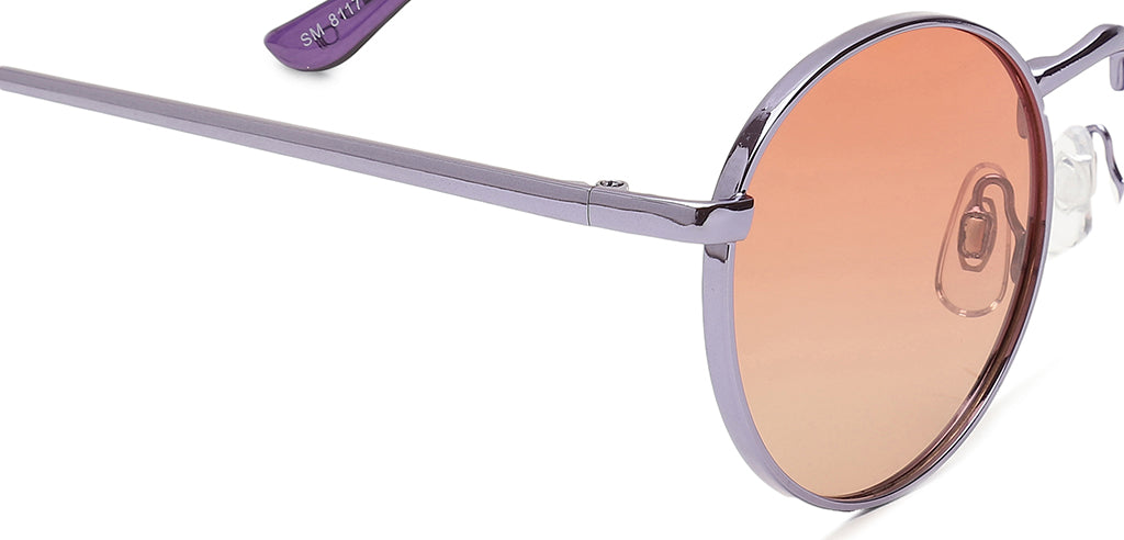 Purple_with_Brown_Lens