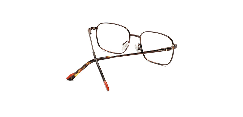 Glossy_Brown_With_Brown