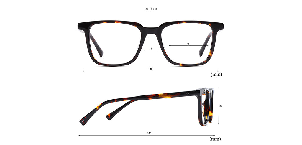 Brown_Tortoise_with_Tortoise