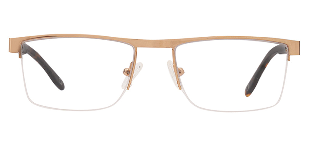 Glossy_Gold_with_Tortoise