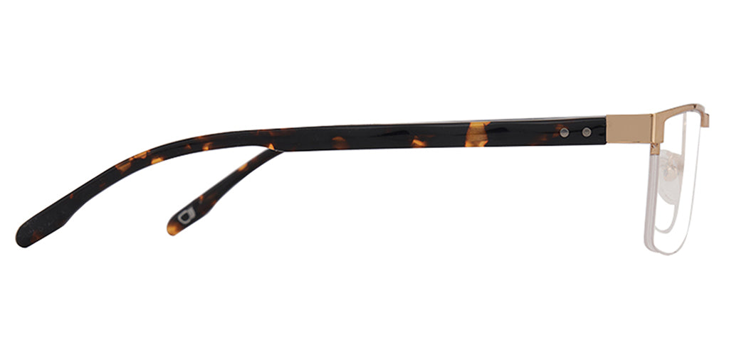 Glossy_Gold_with_Tortoise