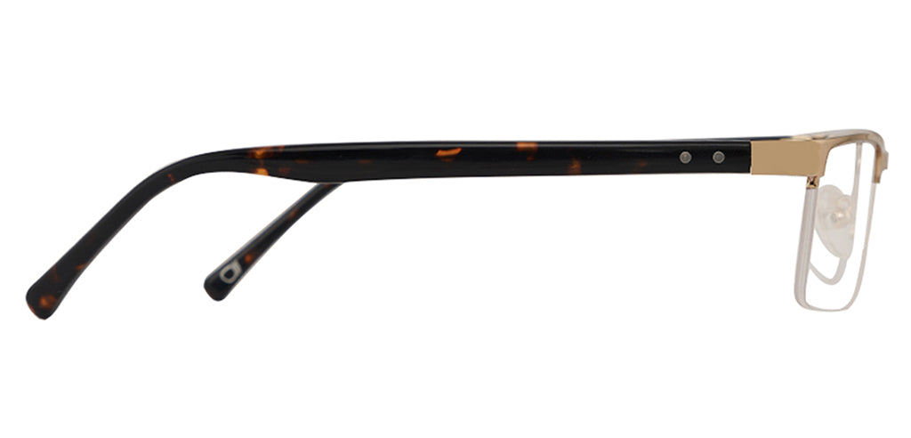 Glossy_Gold_with_Tortoise