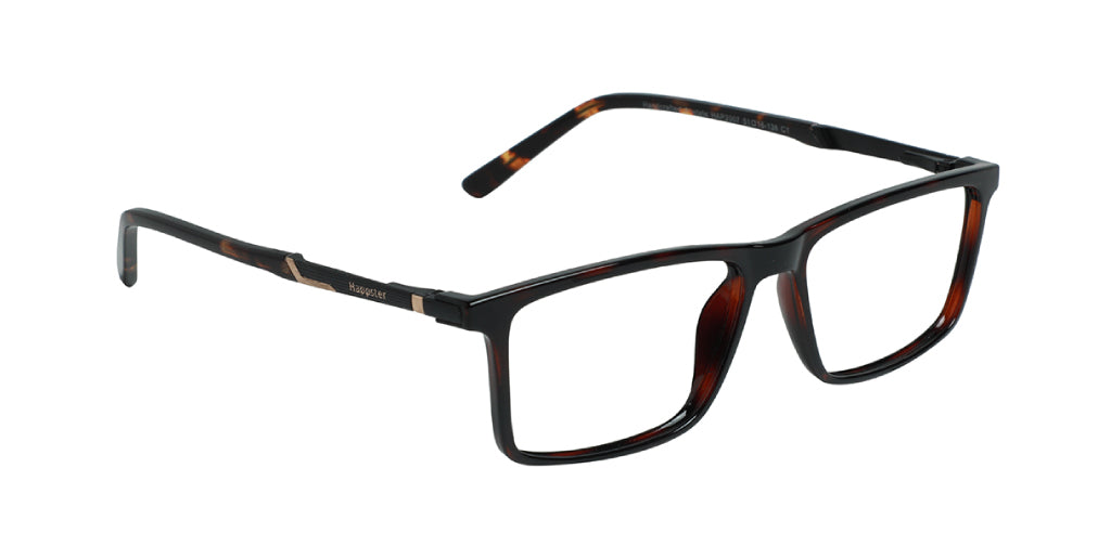 Brown Tortoise_With_Black