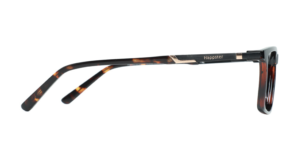 Brown Tortoise_With_Black