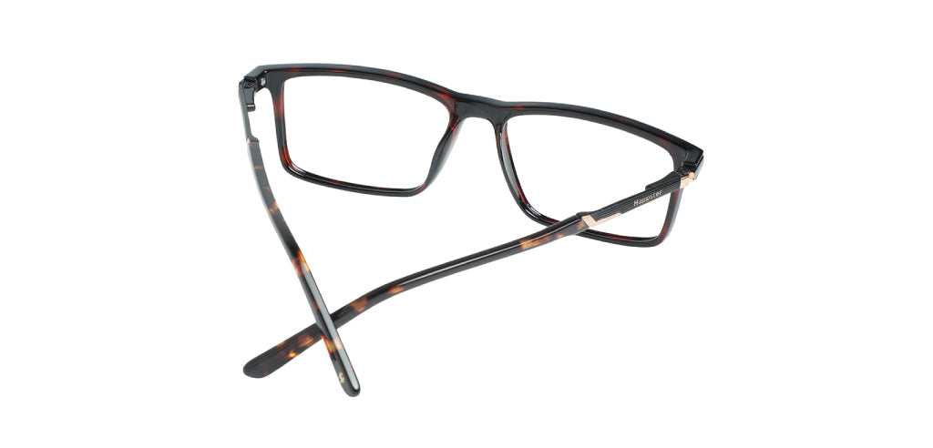 Brown Tortoise_With_Black