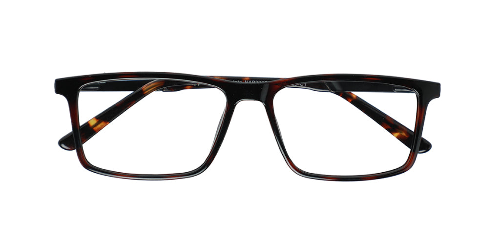 Brown Tortoise_With_Black