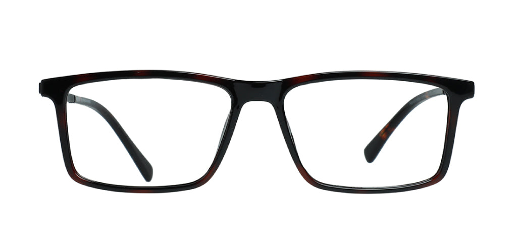 Brown Tortoise_With_Black