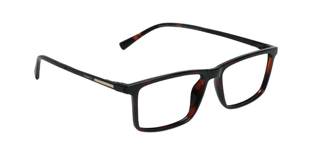 Brown Tortoise_With_Black